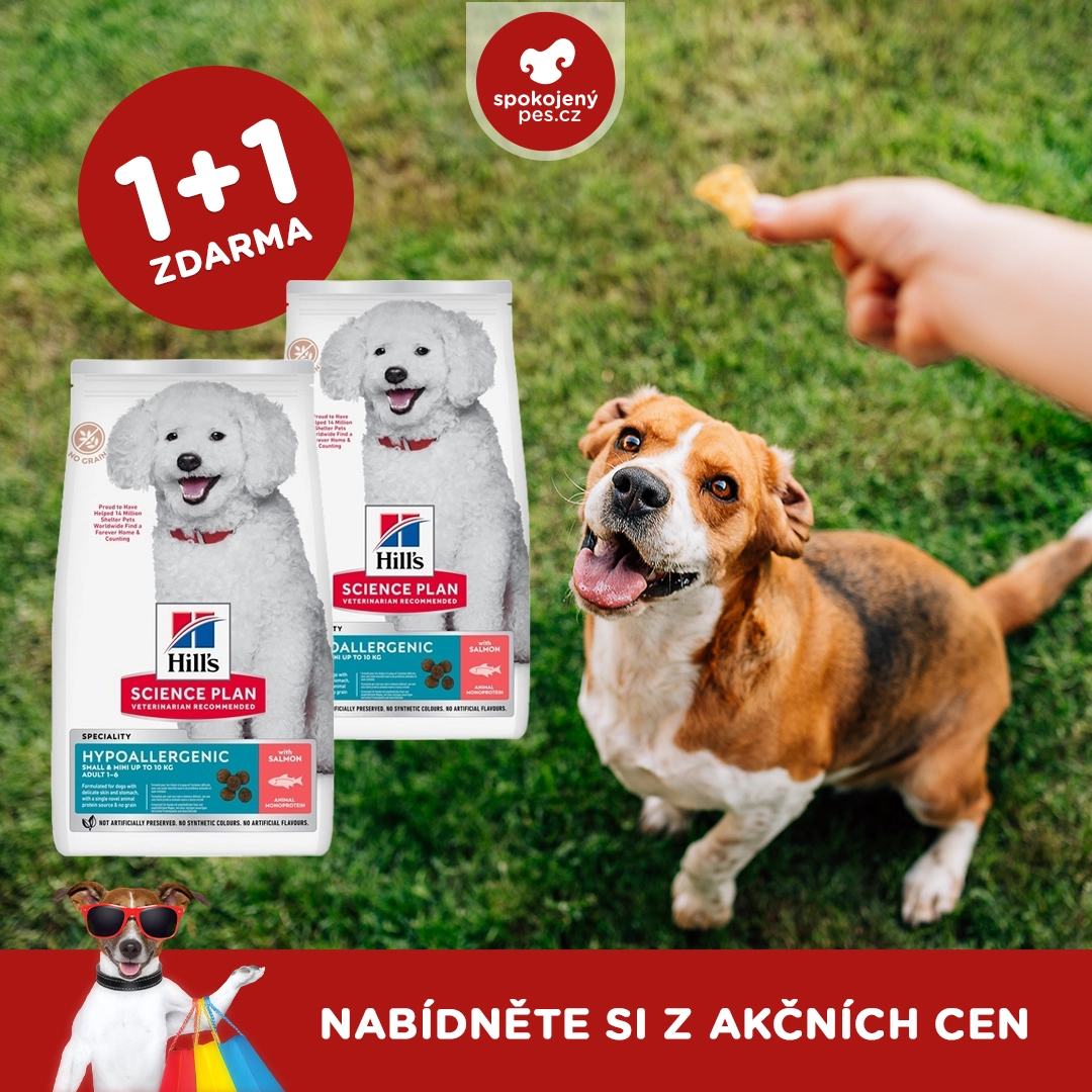 dog hulls.webp